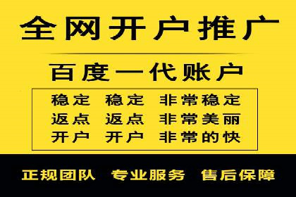 SEM推广实战：案例分析及效果评估
