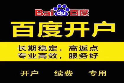 短视频信息流广告投放策略与案例分析